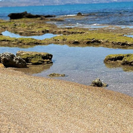 Lu Mari Case Vacanze Balestrate Exteriör bild