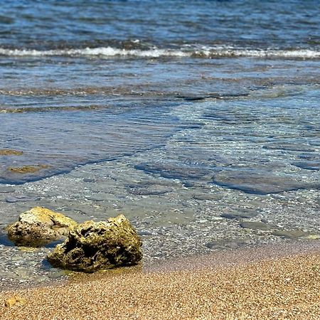 Lu Mari Case Vacanze Balestrate Exteriör bild