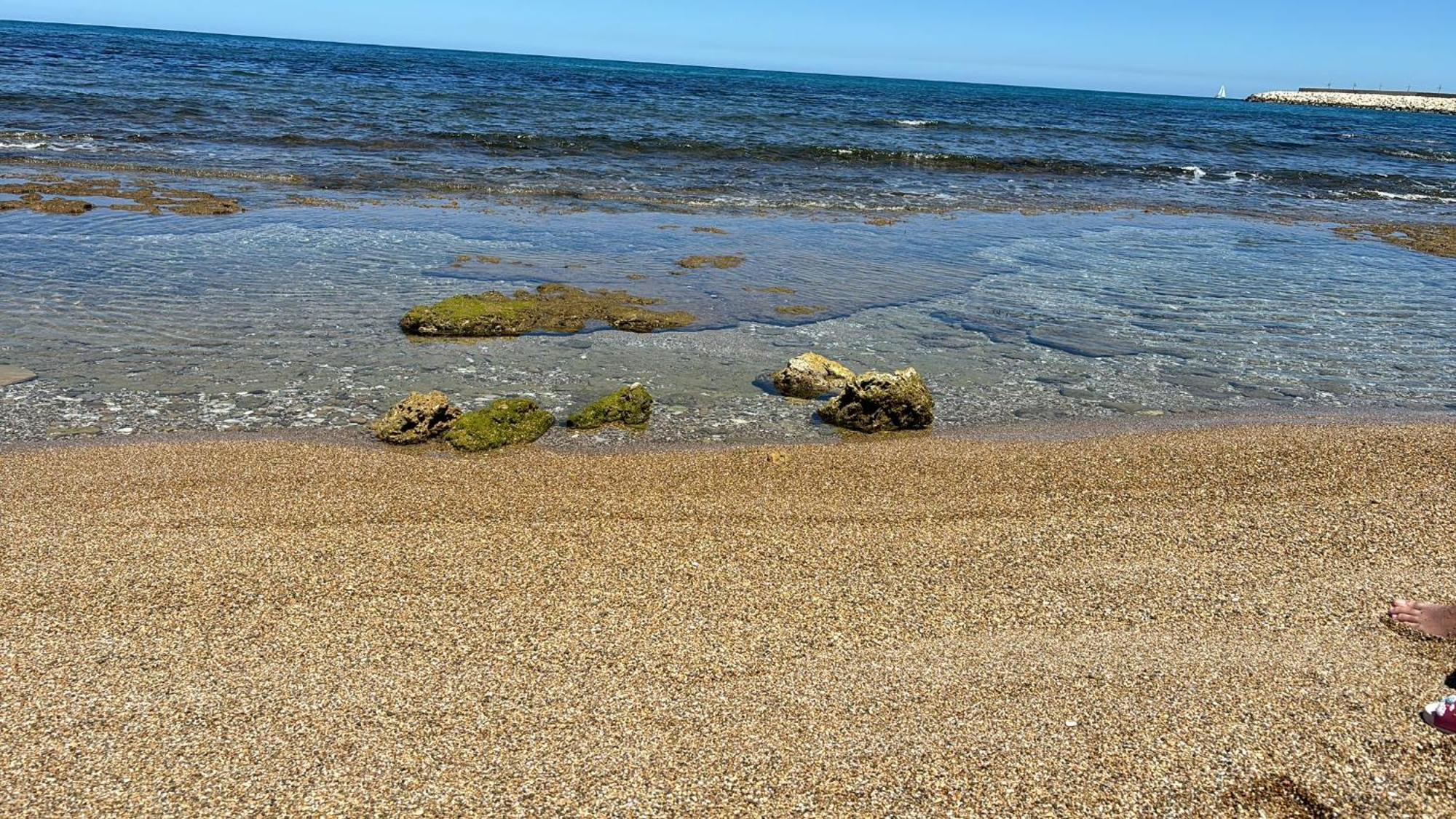 Lu Mari Case Vacanze Balestrate Exteriör bild